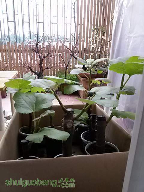 20140304_074026.jpg