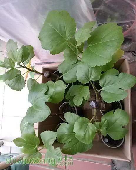 20140304_074125.JPG