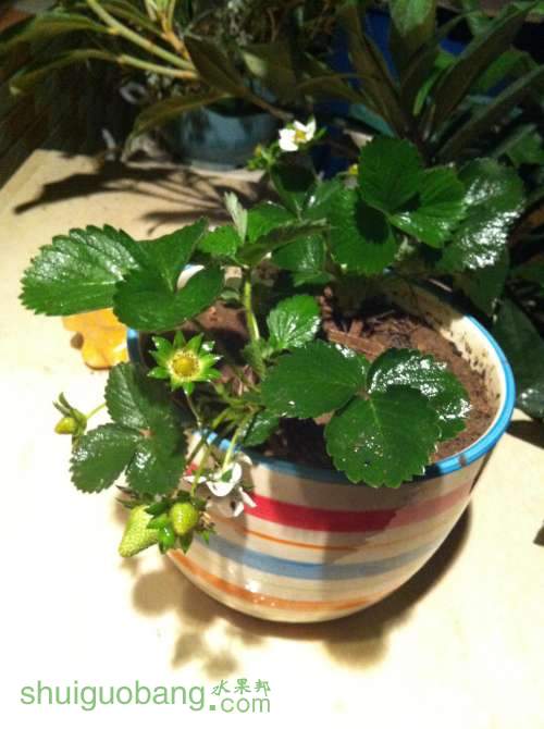 2014-03-04 224620.jpg