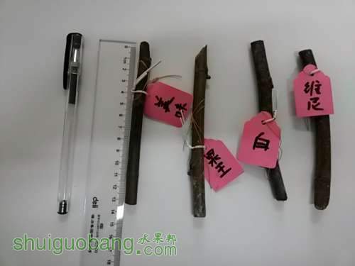 20140306_092531.jpg