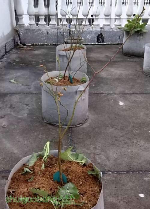 QQͼƬ20140307101348.jpg