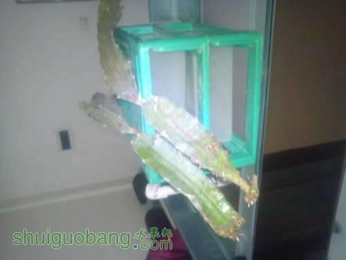 ABCD0015.JPG