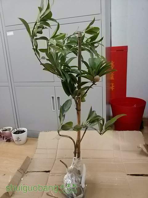 20140311_120312.JPG