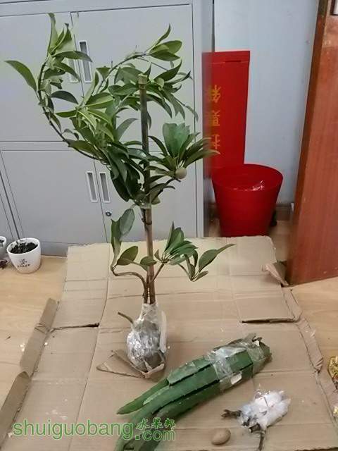 20140311_120514.JPG