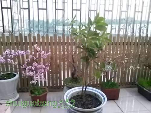 20140311_180304.jpg