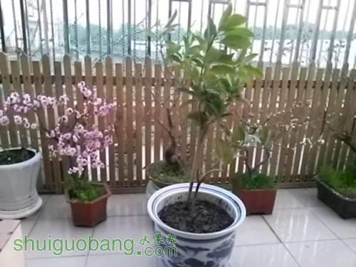 20140311_180310.jpg