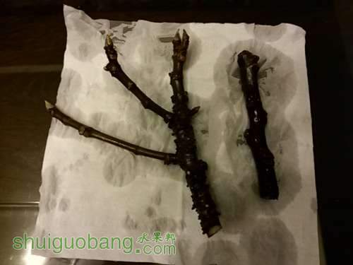 20140311_183712.jpg