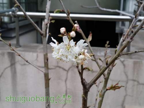 20140311_172452.jpg