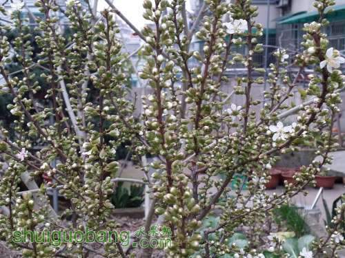 20140311_172637.jpg