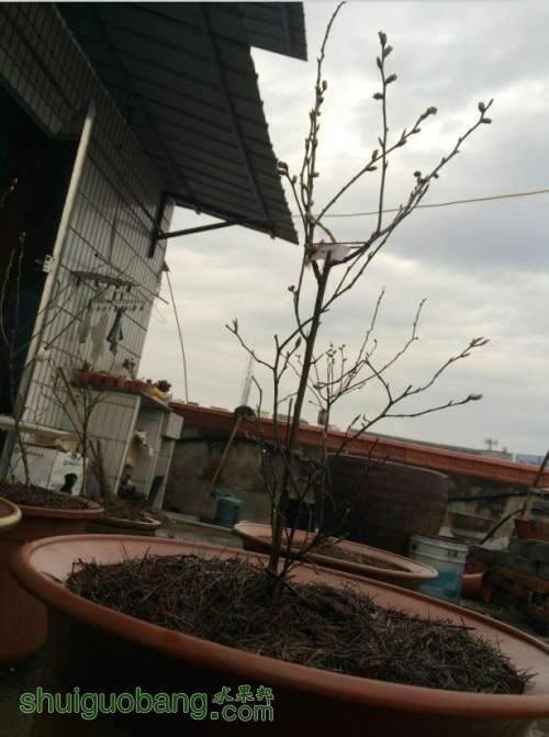QQͼƬ20140312072130.jpg