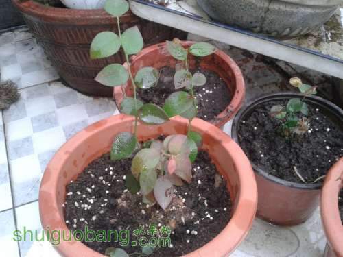 10���ָ�̦޺��.jpg