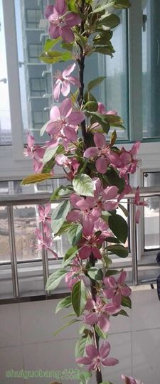 2014-03-03 12.59.36_79833886.jpg