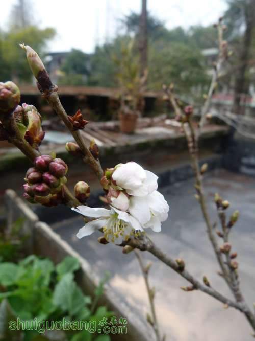 P1040861_.jpg