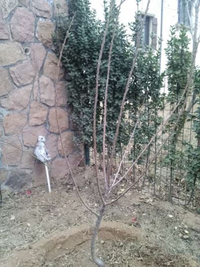 2014-03-12_17-28-48_728-1.jpg