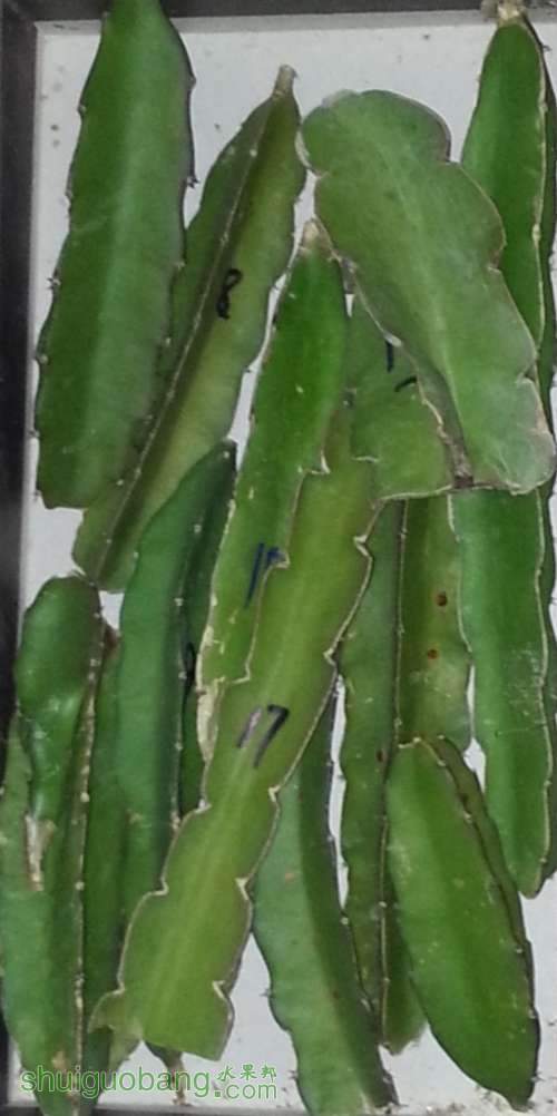 20140311_223252.jpg