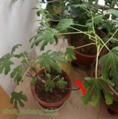 QQͼƬ20140313090857.jpg