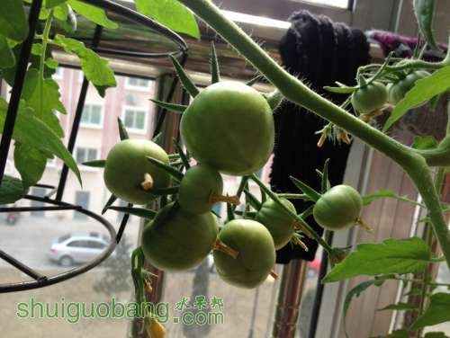 ������Ƭ 017_conew1.jpg