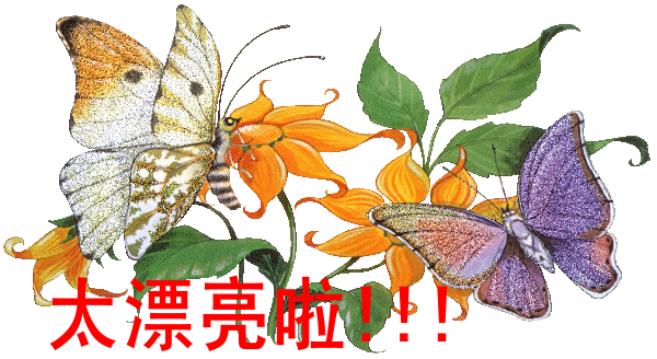 1.gif