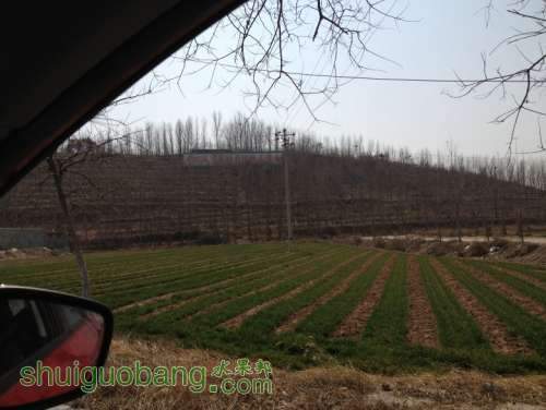 ������Ƭ 061_conew1.jpg