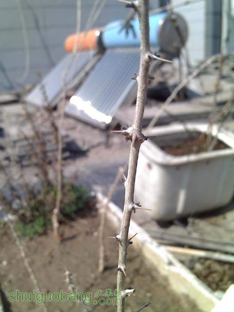0315_114606.jpg