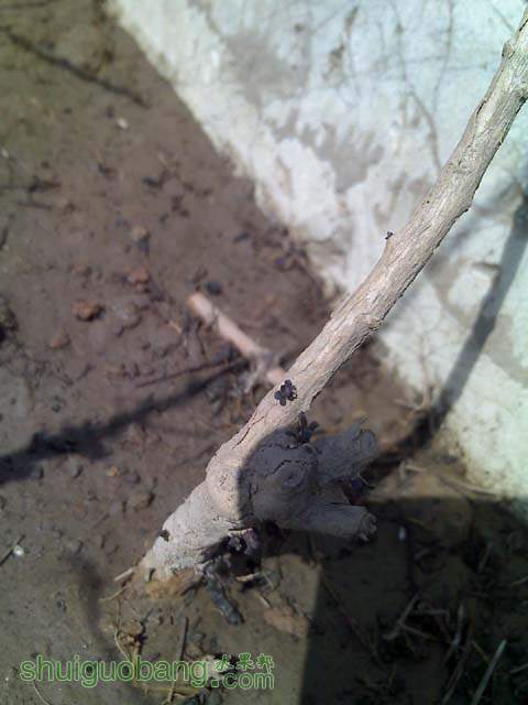 0315_114625.jpg