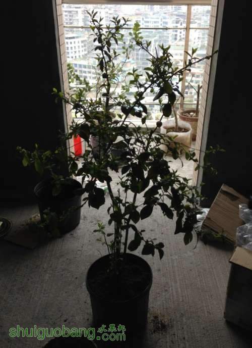 QQͼƬ20140316084956.jpg