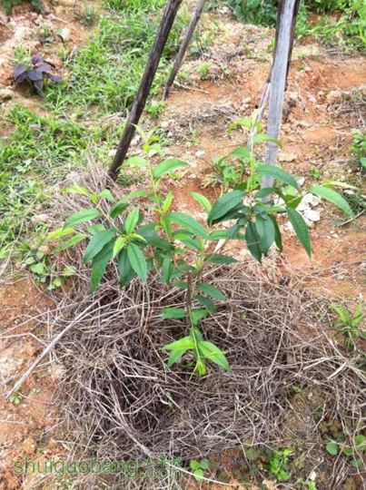 2014-03-16 103711.jpg