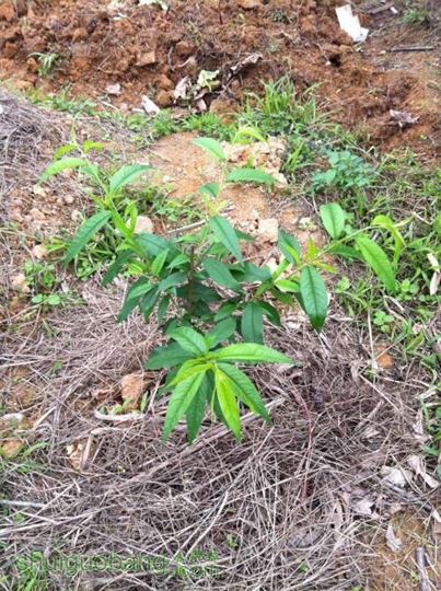 2014-03-16 103724.jpg