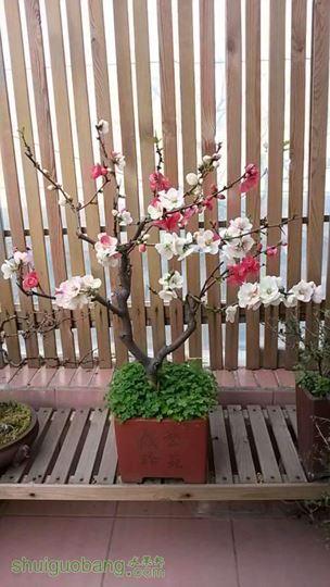 20140317_075658.JPG