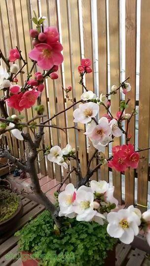 20140317_075835.JPG