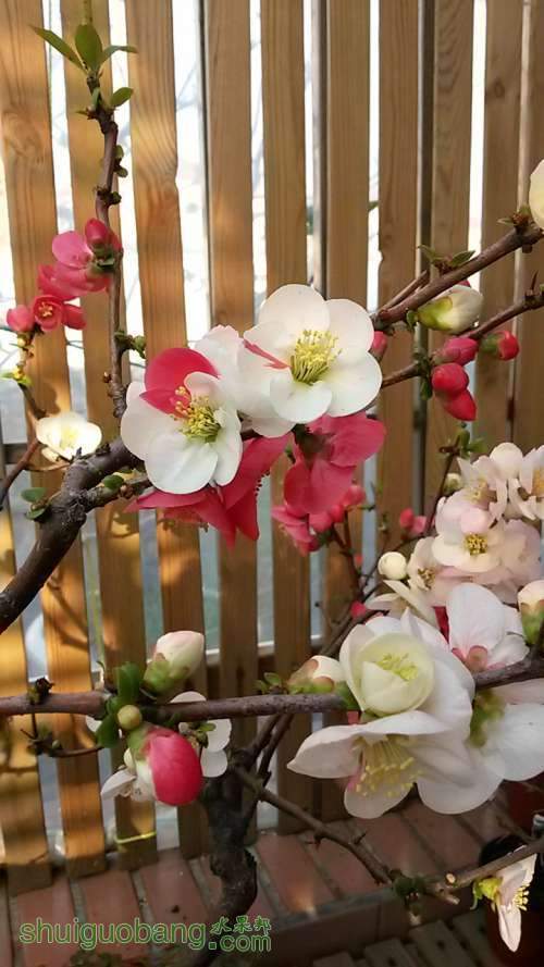 20140317_080013.JPG