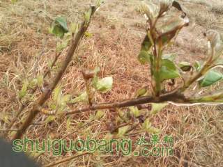 IMG_20140219_105723.jpg