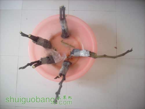 DSCI0578.JPG