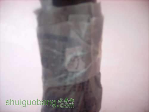 DSCI0579.JPG
