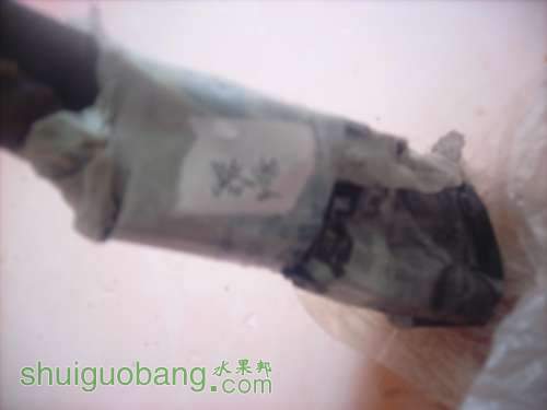 DSCI0580.JPG