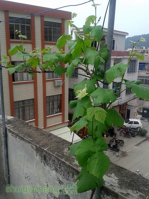 20140317_140457.jpg