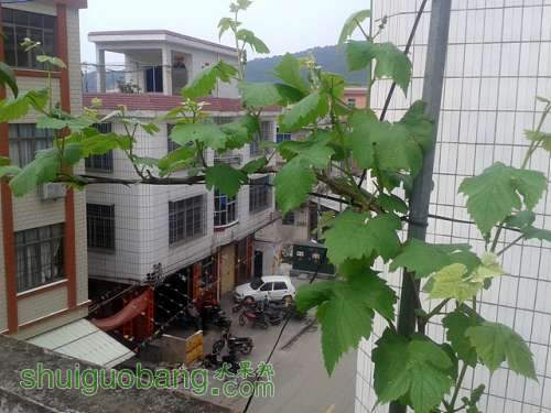 20140317_140521.jpg