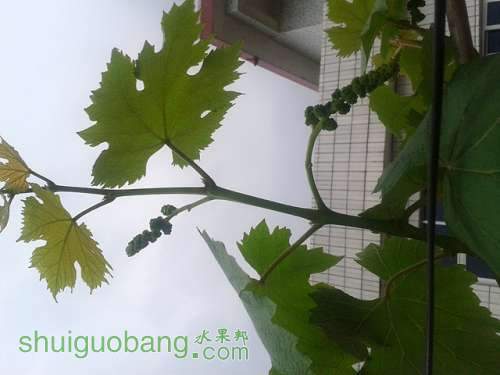 20140317_140707.jpg