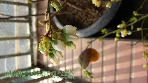 20140317_152827.jpg
