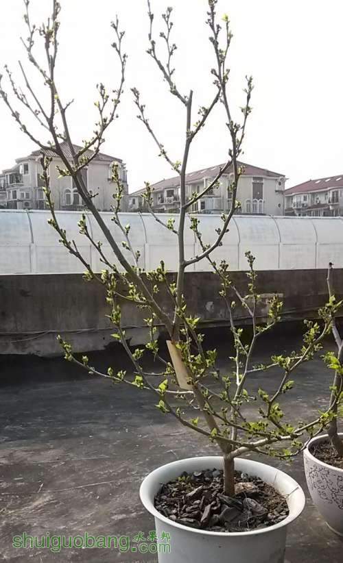 20140317_153937.jpg