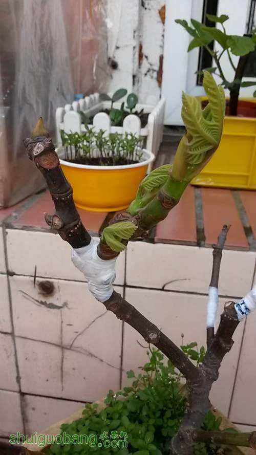20140318_075502.JPG