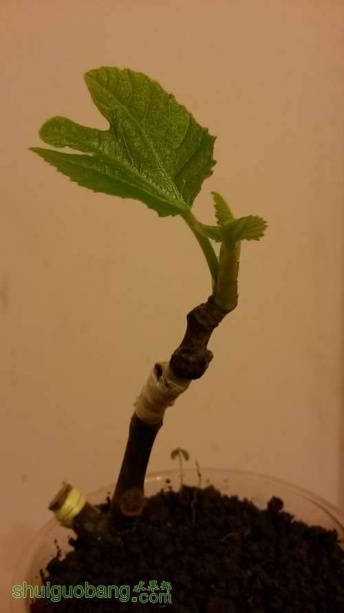 20140319_202044.jpg