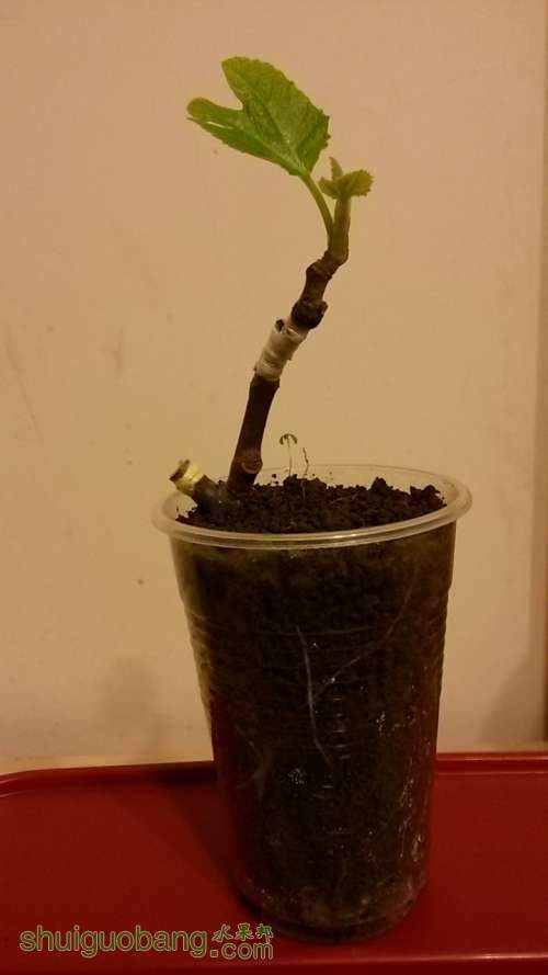 20140319_202350.jpg