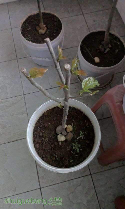 IMAG0009.jpg