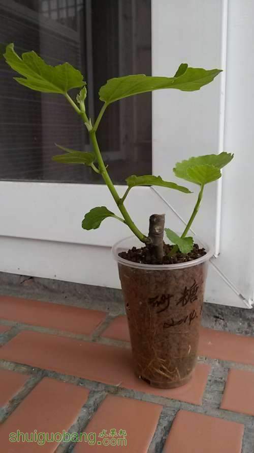 20140320_071859.JPG