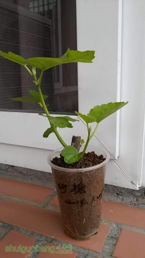 20140320_071911.JPG