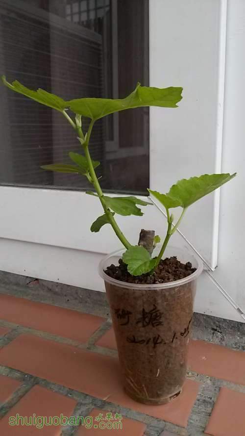 20140320_071914.JPG