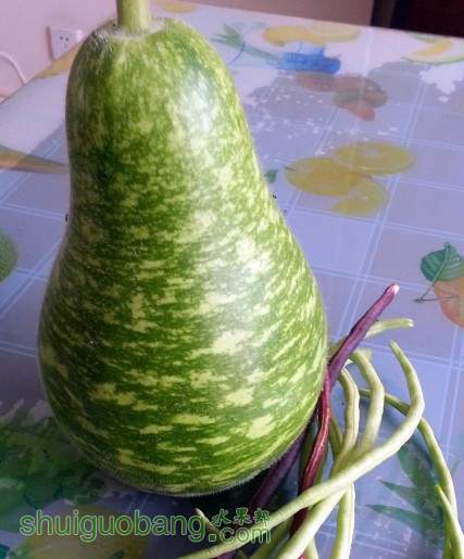 20130930_152440.jpg