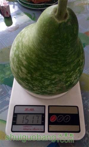 20130829_164640.jpg