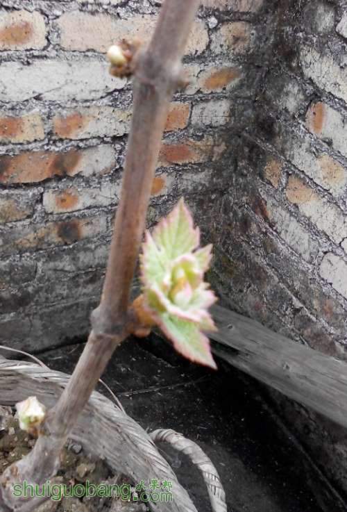 QQͼƬ20140319201925.jpg